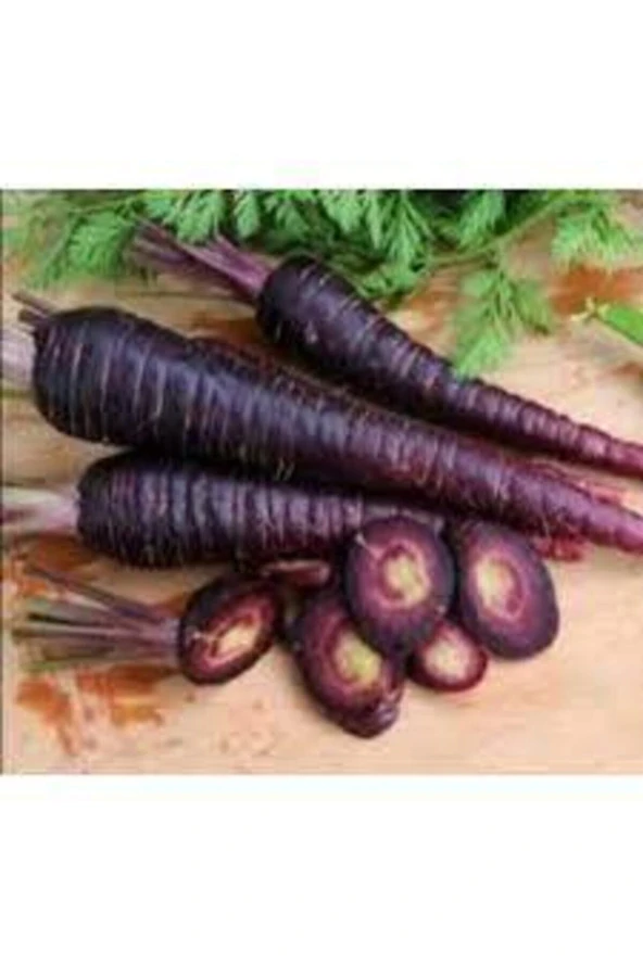 100 Adet Tohum Esvet Mor Havuç Şalgam Tohumu Süpriz Hediye Tohum Siyah Havuç Şalgamlık Havuç Tohum ürün görseli
