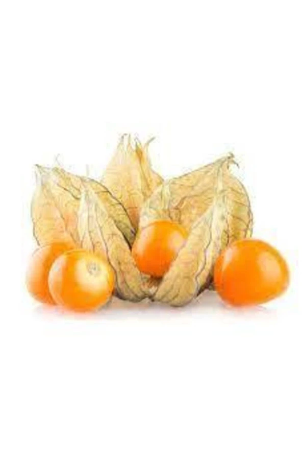 25 Adet Tohum Tropikal Güney Feneri Tohumu Sürpriz Hediye Tohum ürün görseli 1