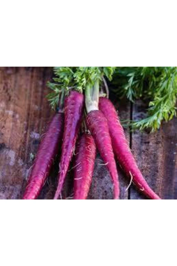 100 Adet Tohum Esvet Mor Havuç Şalgam Tohumu Süpriz Hediye Tohum Siyah Havuç Şalgamlık Havuç Tohum - Resim 2