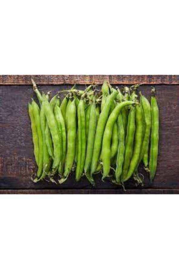 50 Adet Tohum Eko Paket Yerli Sakız Bakla Tohumu Adet Tohum Ata Tohum Sürpriz Hediye Tohum - Resim 2