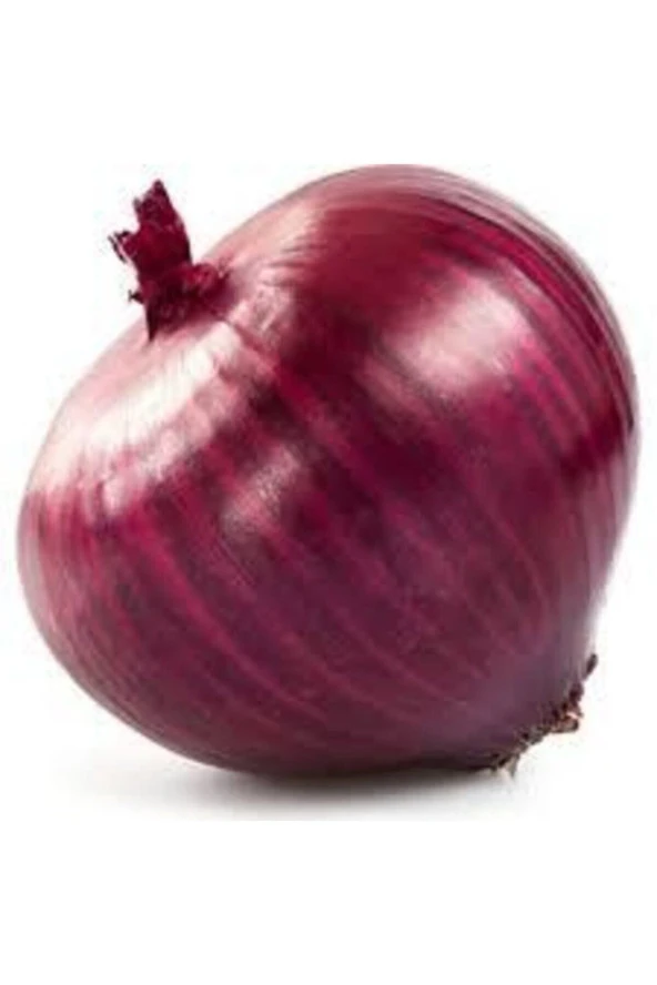 50 Adet Tohum Nadir Ithal Mor Soğan Tohumu Sebze Tohumu - Resim 2