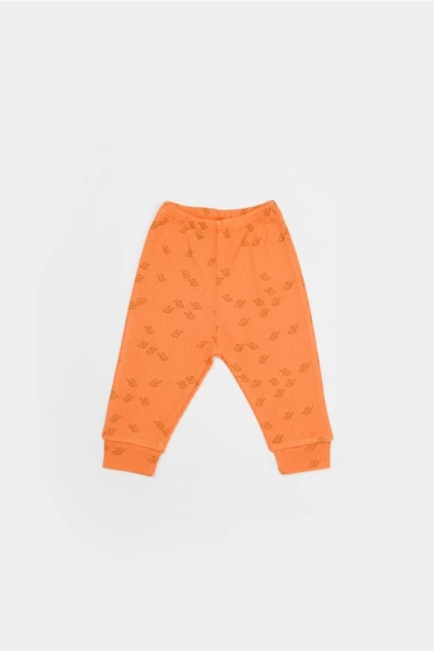 Bebek 3’lü Takım (Pantolon, Uzun Kol T-shirt, Şapka), Bebek ve Yenidoğan Serisi - CSYM25505 - 6