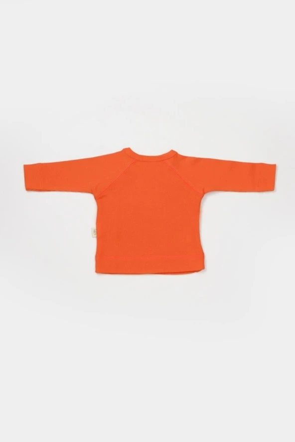 Organik Modal 4 lü Set csym26506 - 3