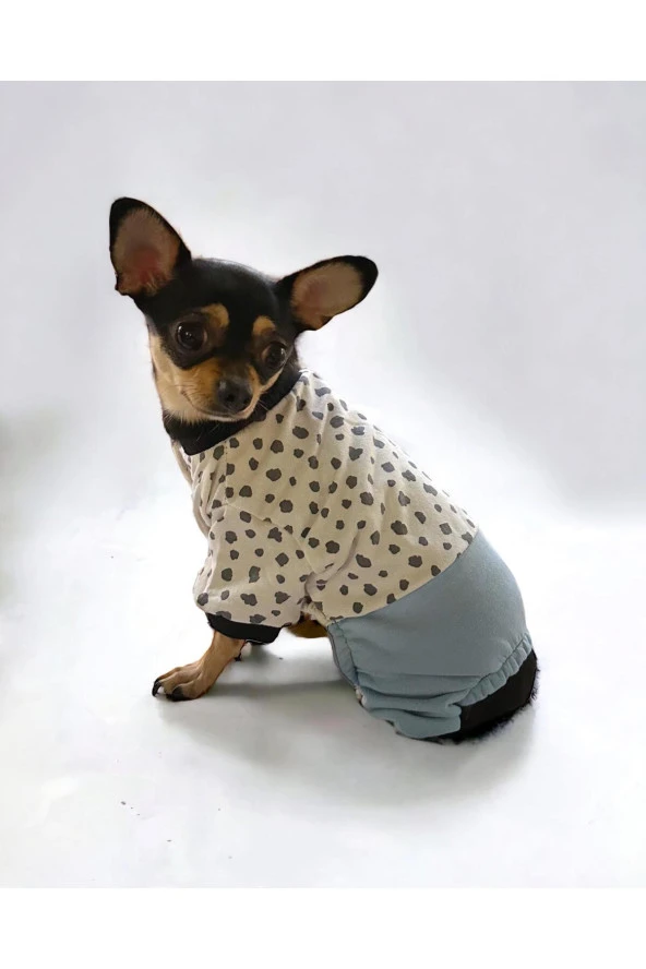 Spe Blue Dots Cırtcırtlı Köpek Tulumu, Köpek Kıyafeti