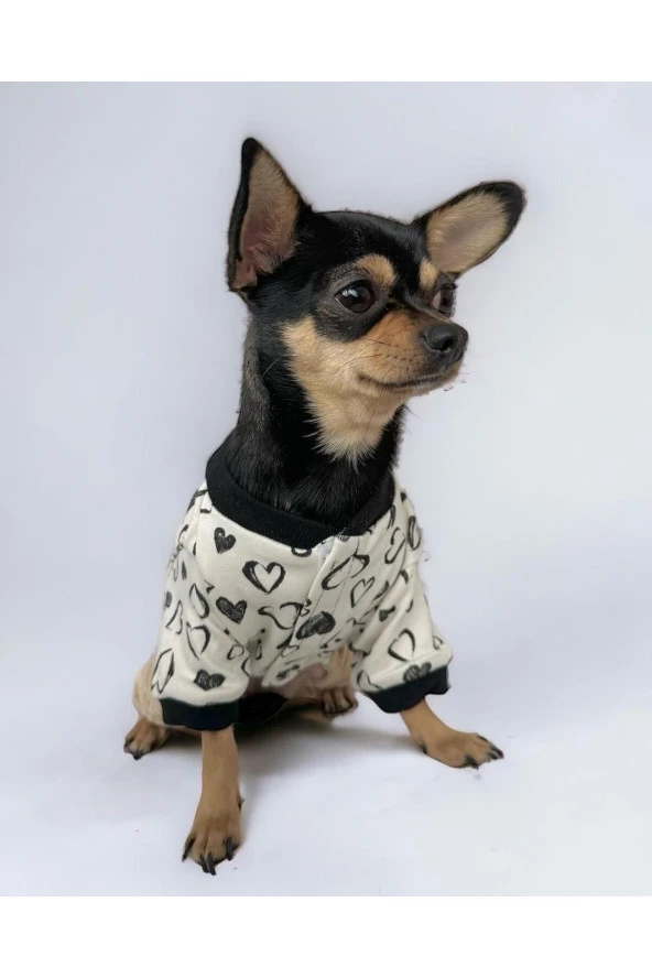 Spe Milky Hearts Cırtcırtlı Köpek Tulumu, Köpek Kıyafeti