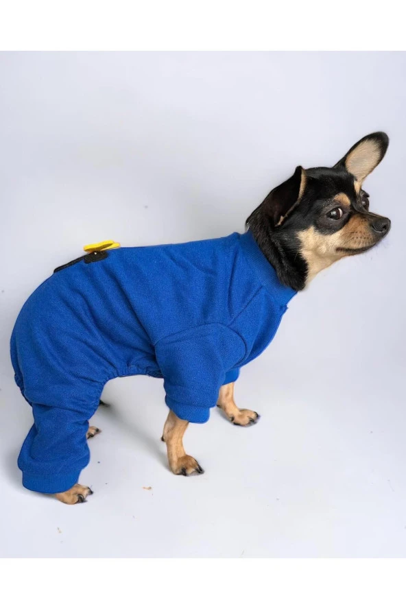 Bleu Mickey Köpek Tulumu Köpek Kazağı, Köpek Kıyafeti