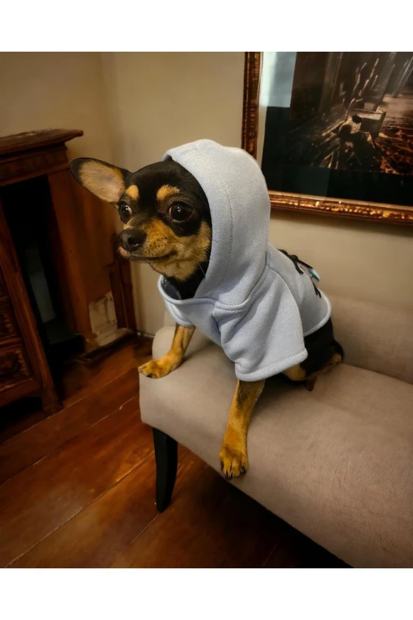 Ladybird Kapşonlu Köpek Sweatshirt, Köpek Kazağı, Köpek Kıyafeti