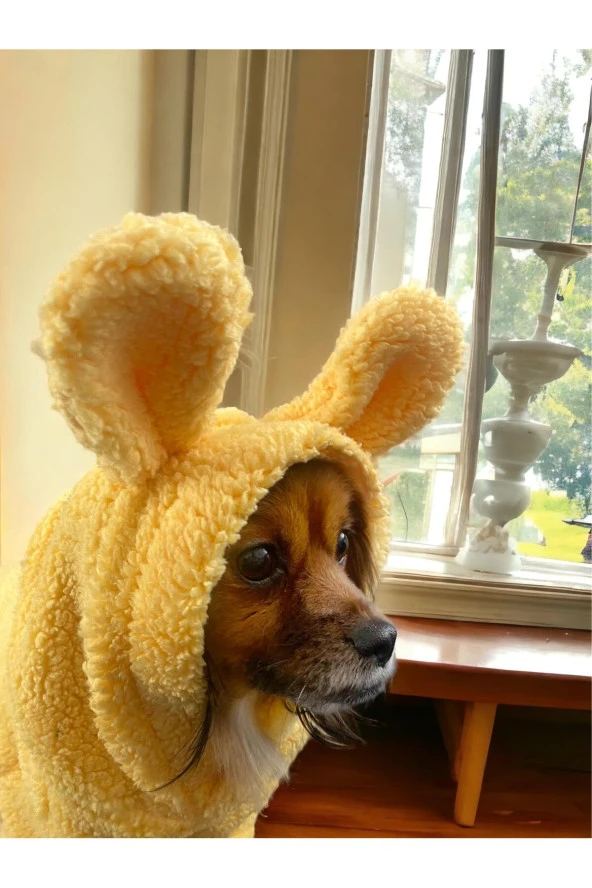 Yellow Soft Kapşonlu Kulak Detaylı Köpek Sweatshirt, Köpek Kazağı, Köpek Kıyafeti