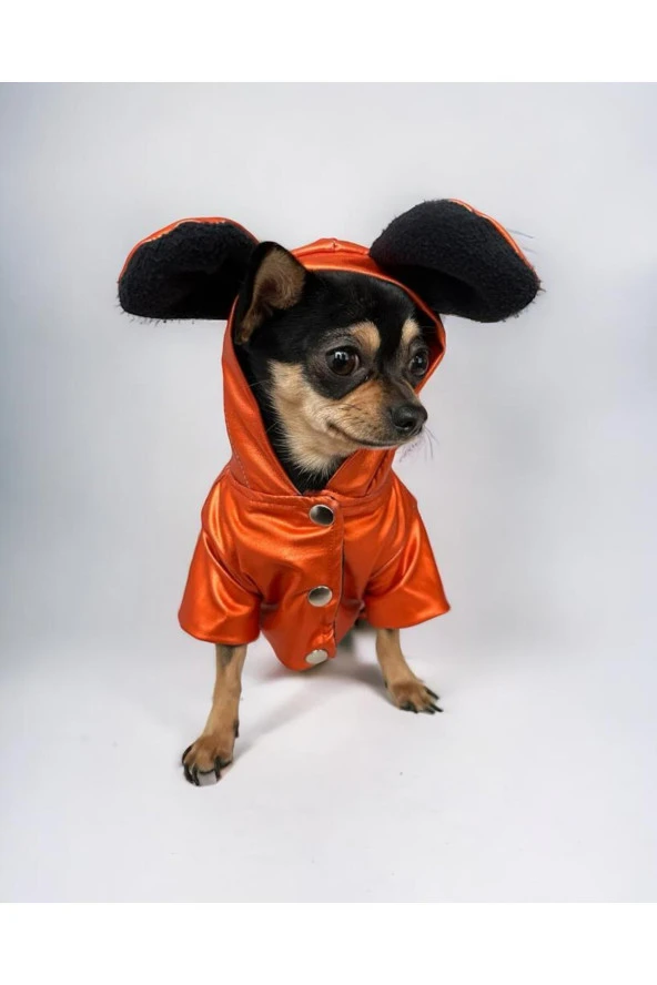 Orange Shine İçi Peluş Kulaklı Çıtçıtlı Köpek Montu, Köpek Tulumu