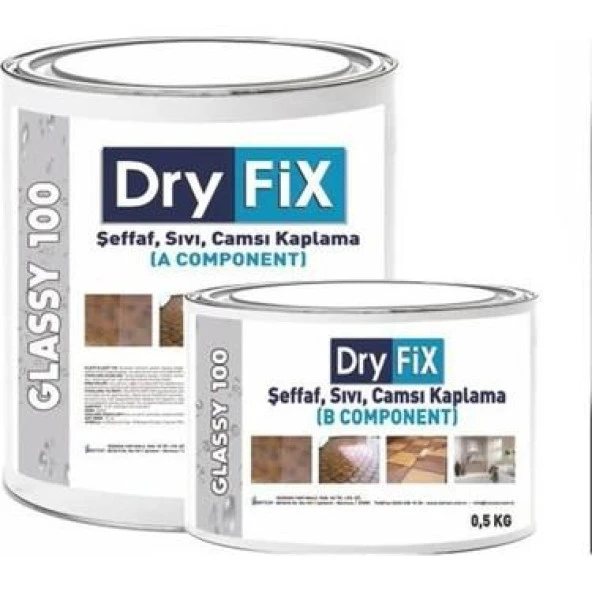 Dry Fix Glassy 100 0.8Kg
