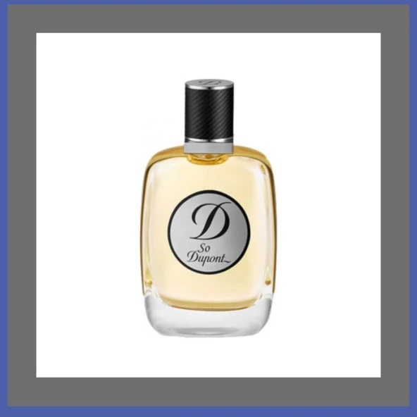 S.T. Dupont So Dupont Edt 100 ml Erkek Parfümü ürün görseli 1