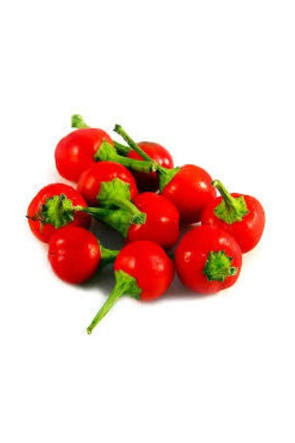 Agrobazaar Acı Akiraz (cherry) Biber 10+ Tohum