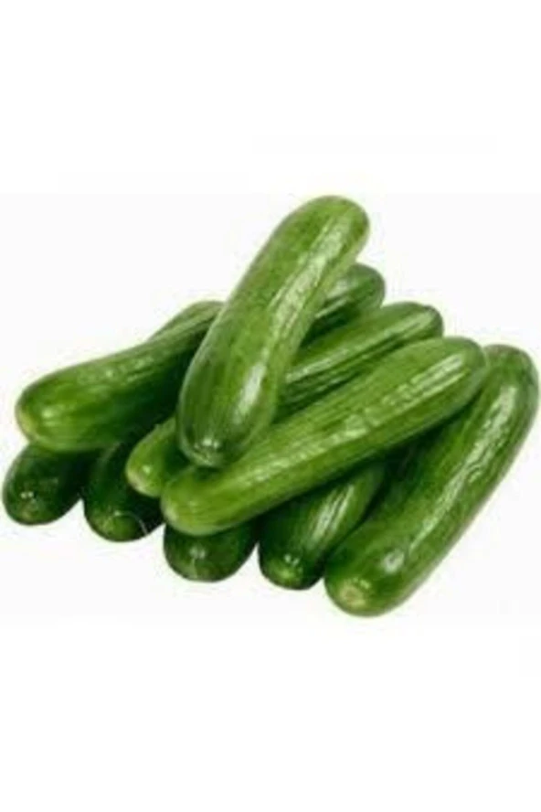 10 Adet Tohum Nadir Silor Parmak Salatalık Salatalık Çıtır Küçük Boy Salatalık Tohumu Sürpriz Hediye ürün görseli