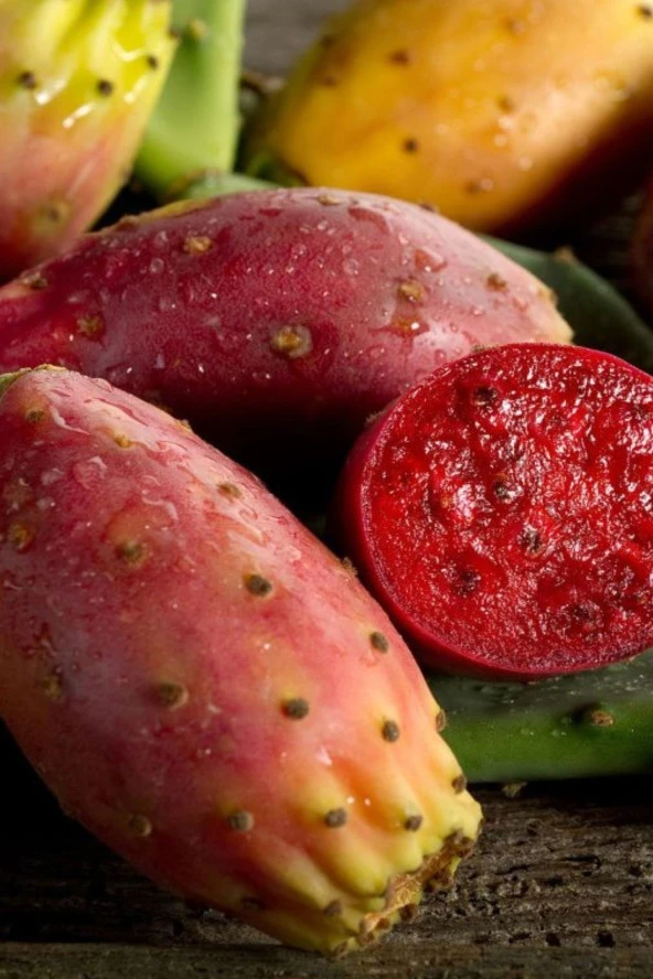 Dikenli Incir, Frenk Inciri Tohumu / 5 Adet Tohum - Resim 2