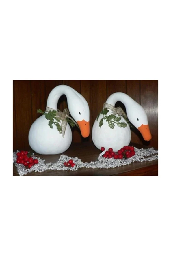 Nadir Ithal Kuğu  3 Adet Kabak Tohumu ürün görseli