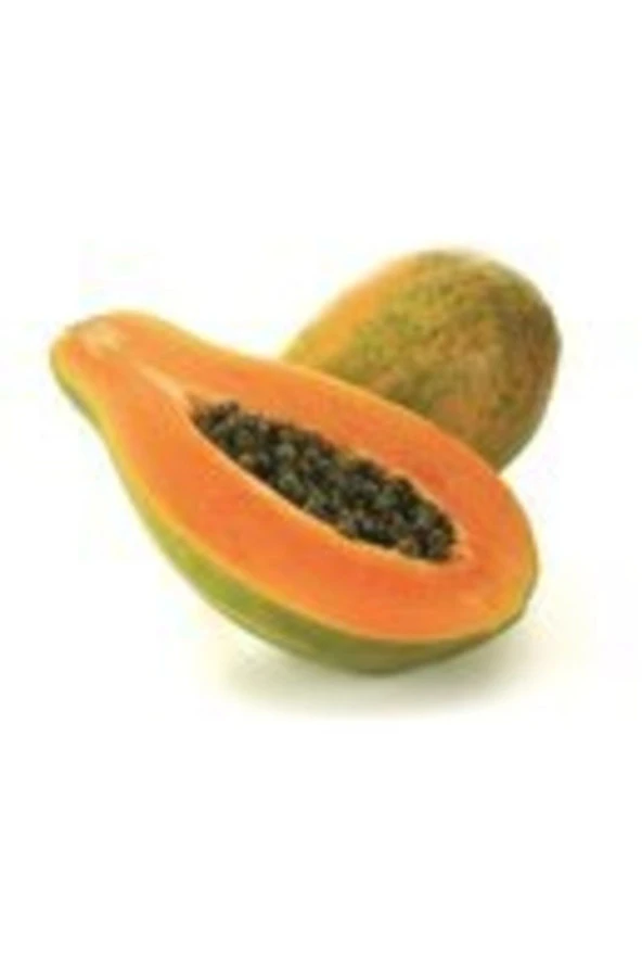 Tropikal Meyve Papaya Ağacı Tohumu 3 Adet Tohum ürün görseli 1