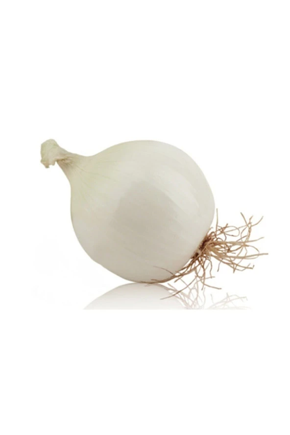 Süper Paket 2000 Adet Tohum Ithal Nadir Tatlı Beyaz Soğan Tohumu - Resim 2