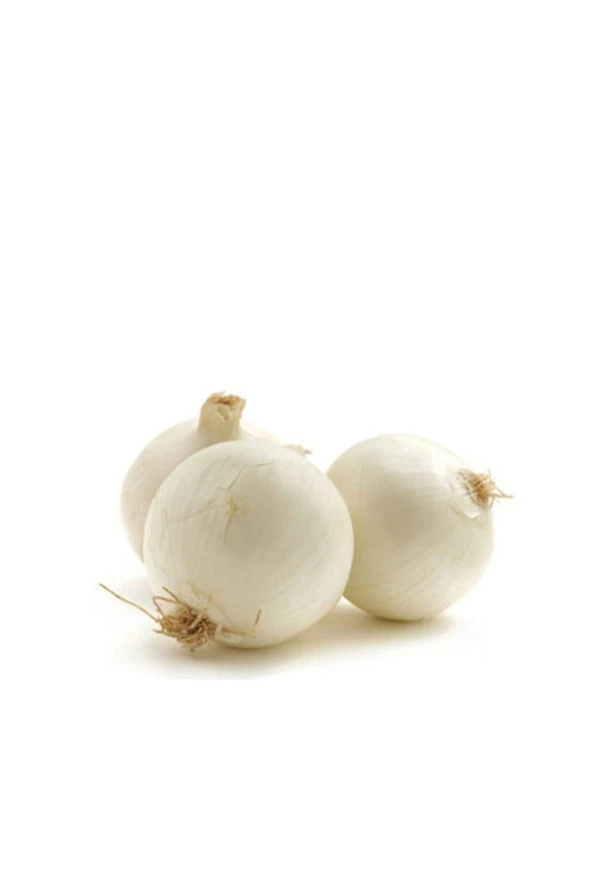 Süper Paket 2000 Adet Tohum Ithal Nadir Tatlı Beyaz Soğan Tohumu - Resim 3