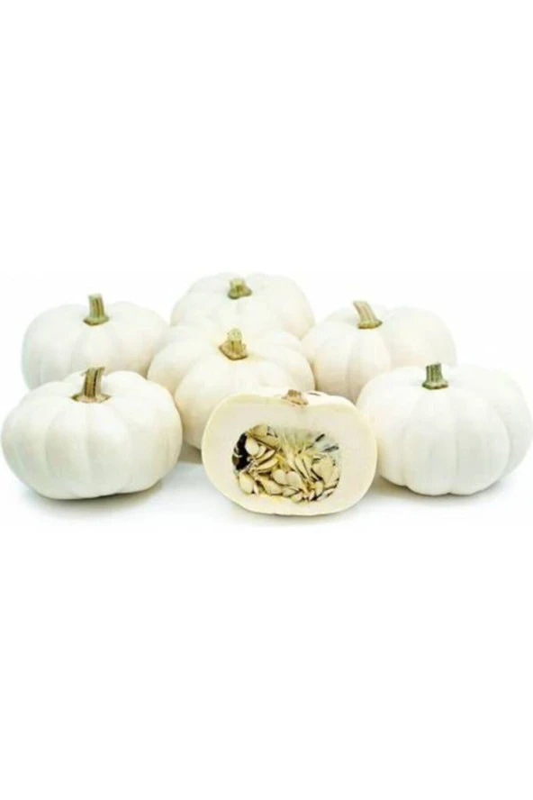 5 Adet Tohum Kestane Kabağı Tohumu Kabak Tohumu