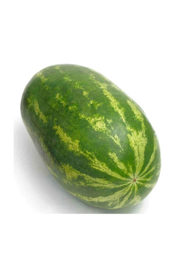 Tohumculuk Süper Paket 200 Adet Tohum Nadir Diyarbakır Karpuz Tohumu - Resim 3