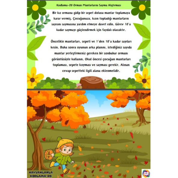 Hayvanlarla Kodlama Eğitim Seti - 4