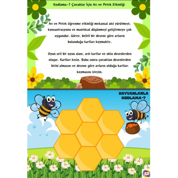Hayvanlarla Kodlama Eğitim Seti - 6