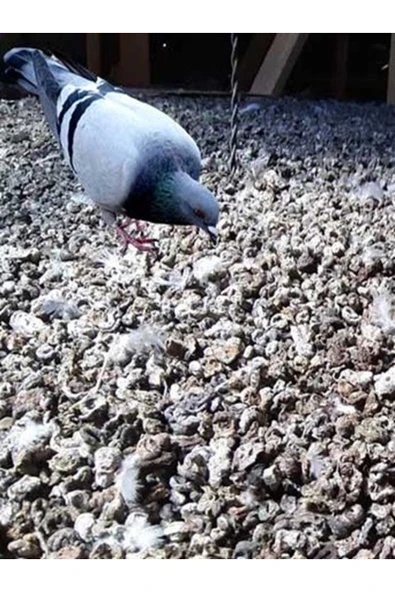 Kor Organik Katksız Güvercin gübresi Bitkileriniz için besin 2 KG - Resim 2