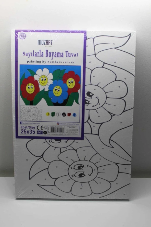 Sayılarla Boyama 25 X 35 Tuval Hobi Seti