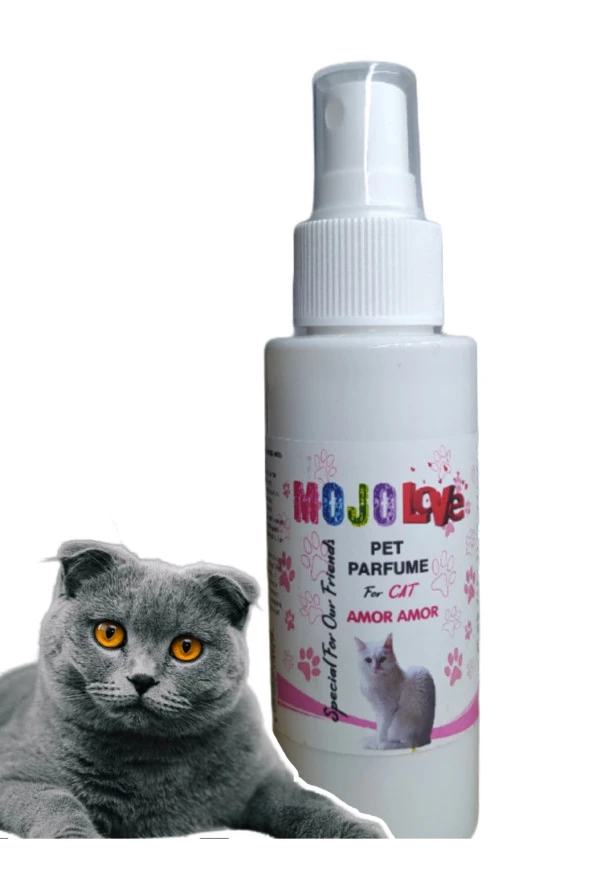 Kedi Amor (AŞK) Kokulu Parfüm Tüy Koku Giderici Parfüm 100 ml