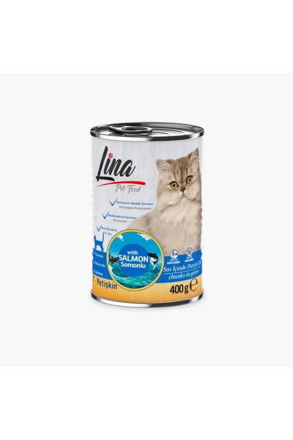 Kedi Somonlu Konserve Maması balıklı kedi yaş maması 400 gr