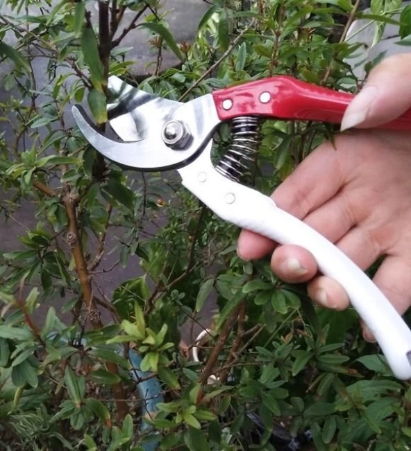 Budama Makası 210 Mm Yedek Yaylı Metal Saplı Budama Makası 21 Cm Boyunda - 4