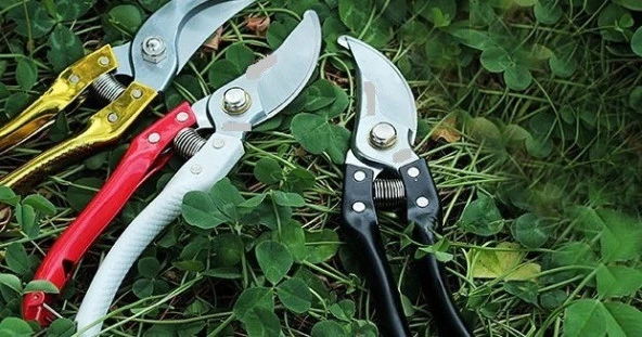 Budama Makası  210 Mm Yedek Yaylı  Metal Saplı Budama Makası 21 Cm Boyunda - 5