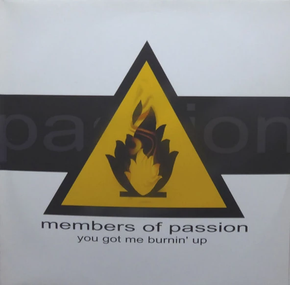 Members Of Passion – You Got Me Burnin' Up House tarz plak alithestereo