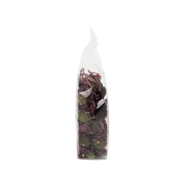 Ekinezya Çiçeği Tomurcuk - 2