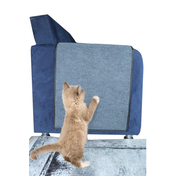 BYPET Koltuk Kenarı Koruyucu Kedi Tırmalama Halısı (50 CM X 100 CM)
