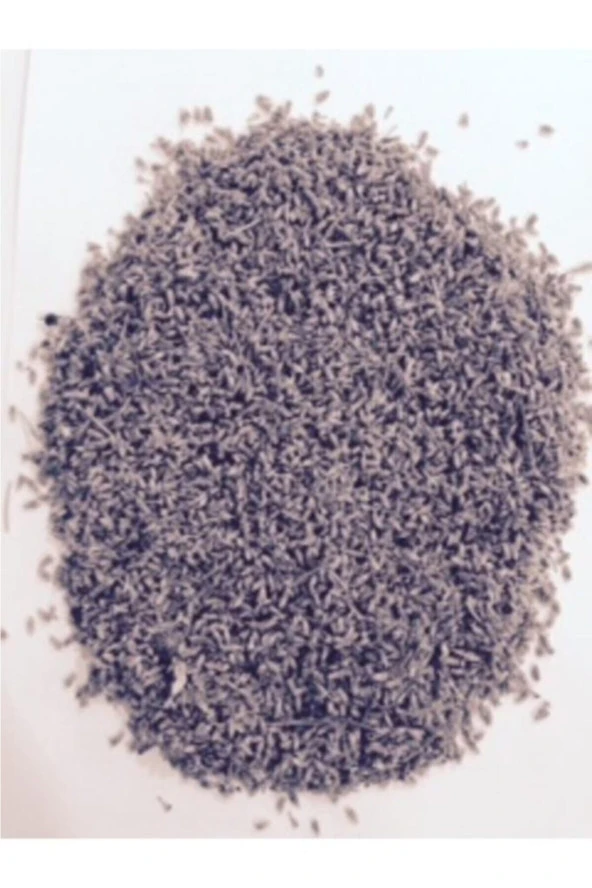 Yeni Mahsül Lavanta Kurusu 1000 G - 2