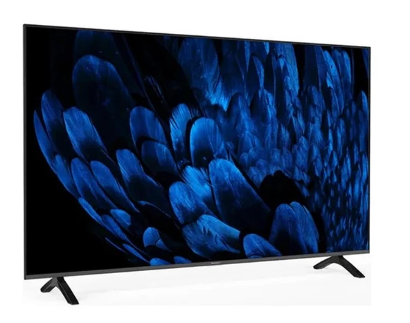 Sunny SN65FMN252 Frameless 4K Ultra HD 65" 165 Ekran Uydu Alıcılı webOS Smart LED TV - 2
