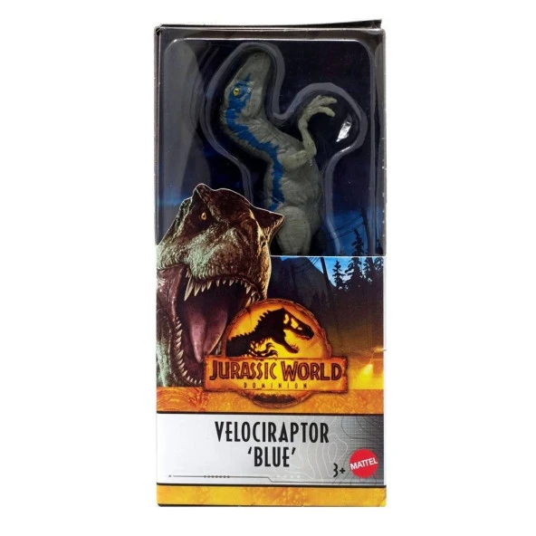 Jurassic World Dinozor Figürleri 15 cm - Velociraptor HMK81 - 2