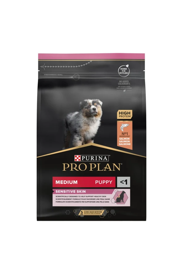 Puppy Somonlu Yavru Köpek Maması 3 Kg - 2