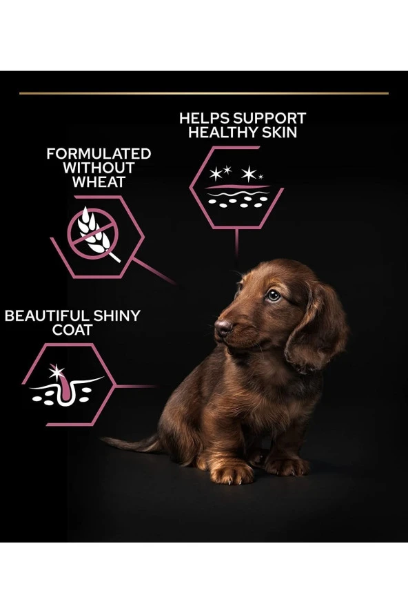 Sensitive Skin Somonlu Ve Pirinçli Küçük Irk Yetişkin Köpek Maması 3 kg - 2