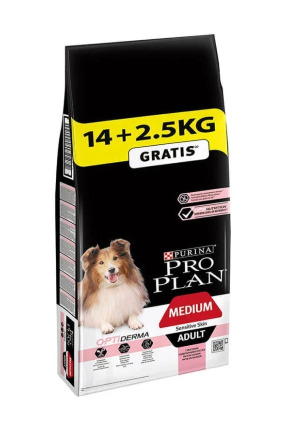 Somon Balıklı Köpek Maması 14 Kg + 2,5 Kg