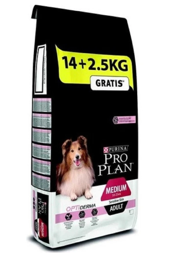 Somonlu Hassas Yetişkin Kuru Köpek Maması 14+2.5 Kg