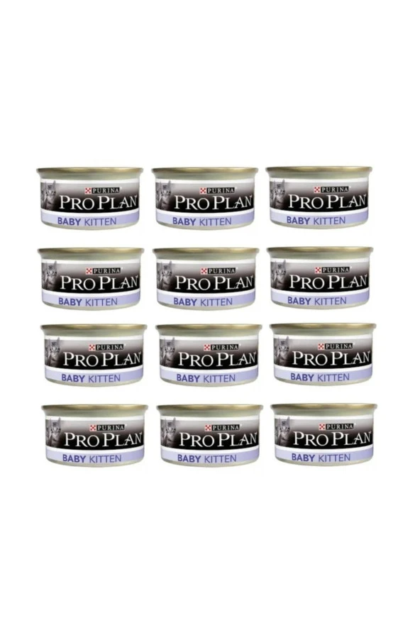 Baby Kitten Yavru Kedi ve Emziren Anne Yaş Maması 85 gr X 12 Adet