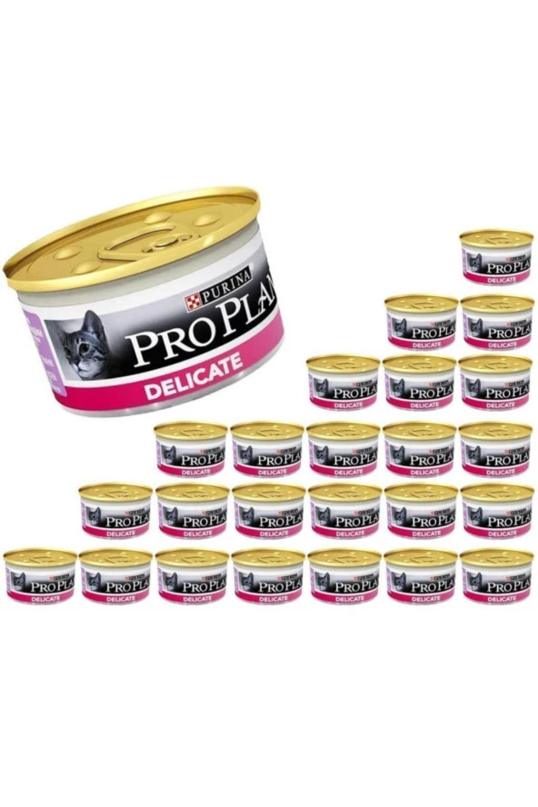 Delicate Hindi Etli Konserve Kedi Maması 85 Gr 24adet