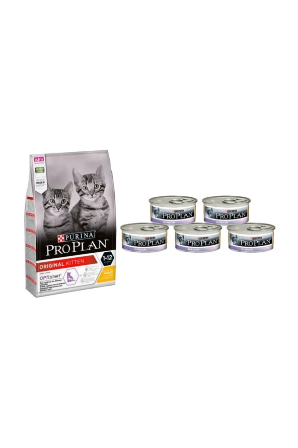 Kitten Junior Yavru Tavuklu Chicken Kedi Maması 1,5 kg Yavru Konserve Kedi Maması 5 Adet