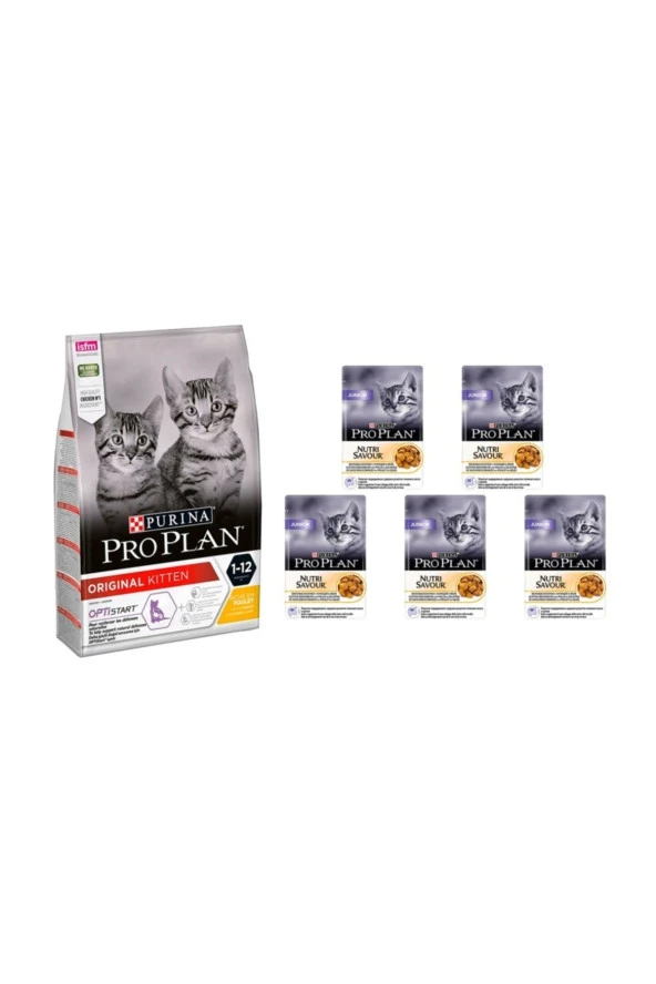 Kitten Junior Yavru Tavuklu Chicken Kedi Maması 3 Kg + Kitten Yavru Yaş Kedi Maması 5 Ad.