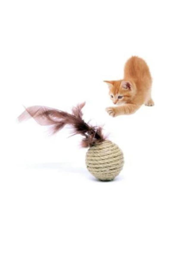 Tüylü Hasır Top Kedi Oyuncağı Renkli Evcil Hayvan Köpek Oyun Top