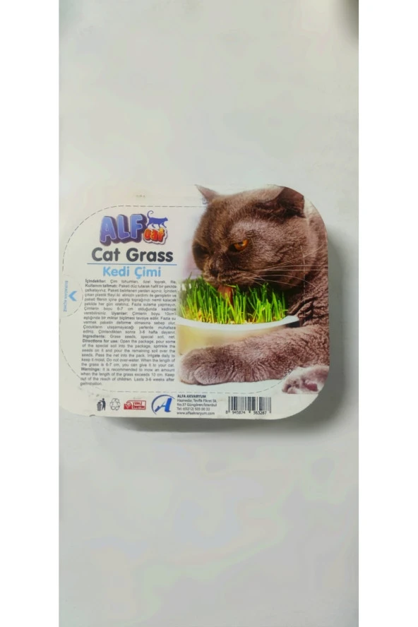 Alfcat Pet Cat Grass Kit %100 Doğal Fileli Kedi Çimi (Tüy Yumağı Önleyici)