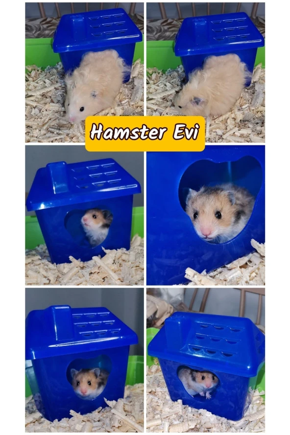 Hamster Evi + Kemirme Taşı / Suriye Hamsterı Ve Gonzales Hamsterı Için Uygundur.