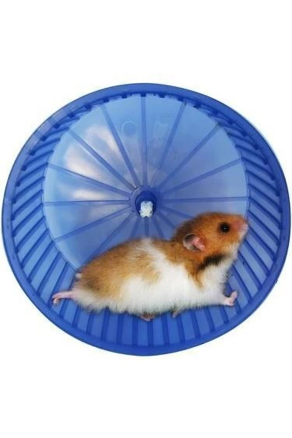 Hamster Gonzales Egzersiz Çarkı 14 Cm